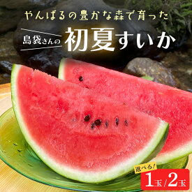 【ふるさと納税】 先行予約 島袋さんの初夏スイカ 選べる 1玉 （5～7kg） 2玉（5～7kg×2） すいか 西瓜 国産 農家直送 沖縄県産 沖縄 フルーツ くだもの 【2024年5月下旬～6月発送予定】