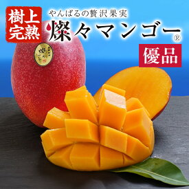 【ふるさと納税】 先行予約 【樹上完熟】 燦々 マンゴー 優品 選べる 1.0kg（2～3玉） 1.5kg（3～6玉） 2kg（4～6玉） 国産 農家直送 沖縄 沖縄県産 冷蔵 フルーツ 果物 くだもの 贈答 ギフト 【2024年6月末以降発送予定】