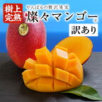  先行予約 【樹上完熟】 燦々 マンゴー 訳あり 選べる 1.5kg（3～6玉）2.4kg（4～6玉） 国産 農家直送 沖縄 沖縄県産 冷蔵 フルーツ 果物 くだもの 訳アリ 訳あり品 【2024年6月末以降発送予定】