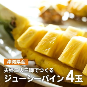 沖縄県産 パイナップルの人気商品 通販 価格比較 価格 Com