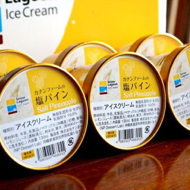 【ふるさと納税】カナンファームの塩パインアイス