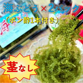 【ふるさと納税】【美ら海沖縄県東村産】茎なし海ぶどう2パックセット（ぽん酢付き）