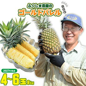 【ふるさと納税】ゴールドバレル【パイナップル】(4～6玉）約9kg　ふくしま農園の自信作！◆2027年発送◆ ゴールドバレル パイナップル 高品質 新鮮 ジューシー 希少 高い糖度 大玉 甘い トロピカル パイン 生産量日本一 高級フルーツ 南国フルーツ 国産フルーツ 完熟 福島