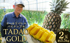 【ふるさと納税】TADAO GOLD　2玉　約3.5kg（多冠芽含む）【ゴールドバレル】2027年発送 ゴールドバレル パインアップル タダオゴールド たまき ただお 逸品 パイン職人 最高級 国産パイン パイナップル パイン 匠 高級フルーツ 南国フルーツ 特別 希少 玉城忠男 農家直送