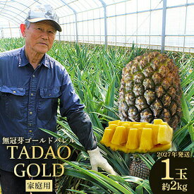 【ふるさと納税】TADAO GOLD　家庭用（無冠芽）1玉　約2kg【ゴールドバレル】2027年発送 ゴールドバレル パインアップル タダオゴールド たまき ただお 逸品 パイン職人 パイナップル 国産パイン 家庭用 パイン 匠 高級フルーツ 南国フルーツ 特別 希少 玉城忠男 農家直送
