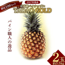 【ふるさと納税】【贈答用：限定100セット】TADAO GOLD【ゴールドバレル】（2玉） ゴールドバレル タダオゴールド ただおごーるど 希少 最高級 沖縄県 東村 パインアップル 贈答用 贈り物 パイン 入手困難 高級フルーツ 玉城忠男 トロピカル 糖度 甘い パイナップル