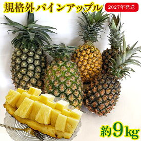 【ふるさと納税】規格外パインアップル　約9kg【2027年発送】 パイン パインアップル パイナップル ボゴール ゴールドバレル ピーチパイン サンドルチェ ホワイトココ 規格外 訳あり 生産量日本一 国産 国産パイン おまかせ 南国 トロピカル 予約 先行予約 沖縄 東村