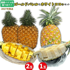 【ふるさと納税】国産パインの食べ比べ！ゴールドバレル（2玉）&ホワイトココ（1玉）セット 約3kg【2027年発送】 パイン パインアップル パイナップル ゴールドバレル ホワイトココ 数量限定 食べ比べ お試し ジューシー 希少 生産量日本一 国産 国産パイン おいしい