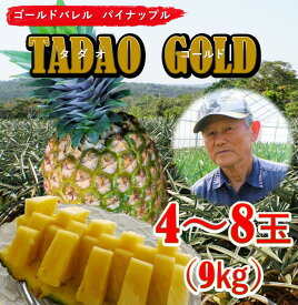 【ふるさと納税】【匠の味！】TADAO　GOLD4~8玉　2024年7月中旬頃発送予定～100セット限定