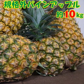 楽天市場 パイナップル 生産国日本 フルーツ 果物 食品 の通販