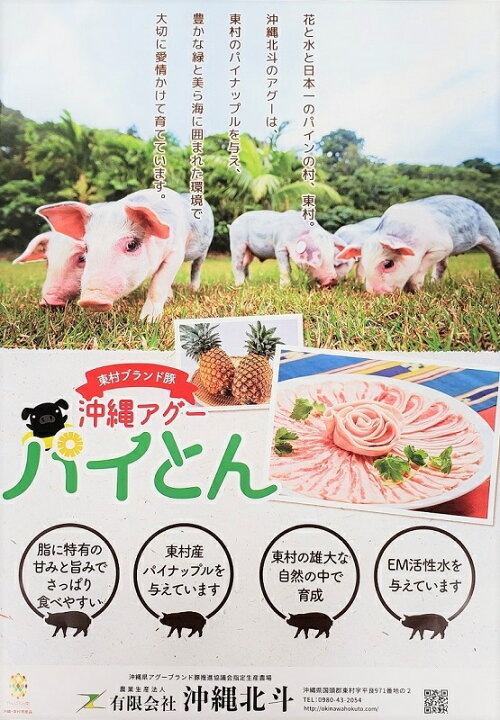 お得 東村ブランド豚 パイとん 焼き肉用 ロース600g fucoa.cl