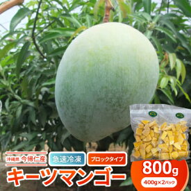 【ふるさと納税】【急速冷凍・ブロックタイプ】今帰仁産キーツマンゴー800g(400g×2パック)【配送不可地域：離島】【1483934】