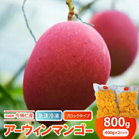 【ふるさと納税】【急速冷凍・ブロックタイプ】今帰仁産のアーウィンマンゴー800g(400g×2パック)【配送不可地域：離島】【1573292】