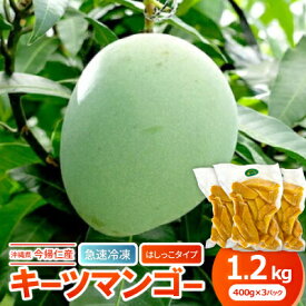 【ふるさと納税】【急速冷凍・はしっこタイプ】今帰仁産のキーツマンゴー1.2kg(400g×3P)【配送不可地域：離島】【1573306】