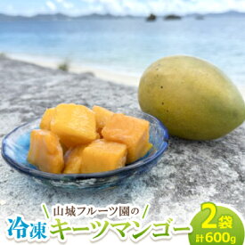 【ふるさと納税】今帰仁産 山城フルーツ園の冷凍キーツマンゴー 600g(300g×2パック)【配送不可地域：離島】【1662750】