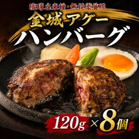 【ふるさと納税】【琉球在来種・無投薬養豚】金城アグーハンバーグ 120g×8個【配送不可地域：離島】【1731178】