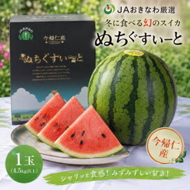 【ふるさと納税】【2027年1月中旬より順次発送】冬に食べる幻のスイカ ぬちぐすいーと 1玉(4.5kg以上)【1744600】