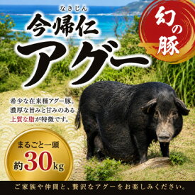 【ふるさと納税】幻の豚 今帰仁アグー まるごと一頭(約30kg)【1756802】