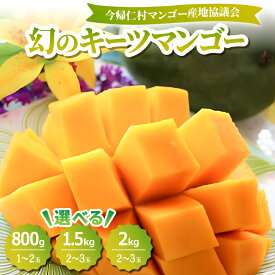 【ふるさと納税】【2026年8月中旬から順次発送】今帰仁産の幻のキーツマンゴー800g～2kg【配送不可地域：離島】【G4014738】