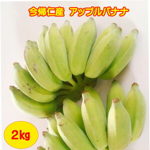 yӂ邳Ɣ[ŁzAmYAbvoiii_sgpj2kg