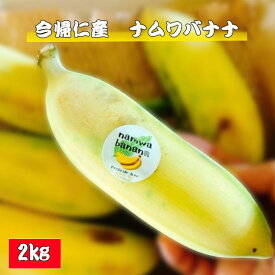 【ふるさと納税】今帰仁村産ナムワバナナ（農薬不使用）2kg