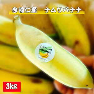 yӂ邳Ɣ[ŁzAmYioiii_sgpj3kg