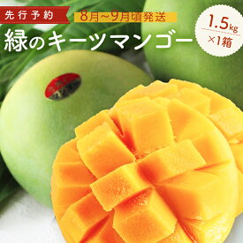 【ふるさと納税】緑のキーツマンゴー1.5kg以上【2025年9月頃発送】生産者直送