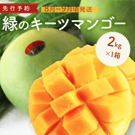 【ふるさと納税】緑のキーツマンゴー2kg以上【2025年9月頃発送】生産者直送