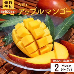 yӂ邳Ɣ[Łz y󂠂Eƒpz500Zbg@AmAbv}S[2kgȏ(jy2026N6{`8{zyY҉z