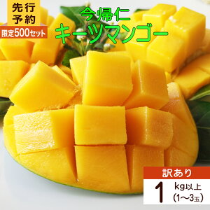 yӂ邳Ɣ[Łz y󂠂@500ZbgzyY҉z΂̃L[c}S[1kgȏijy2026N8`9z