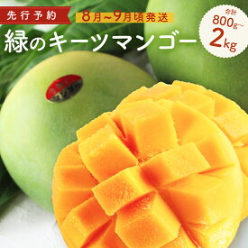 【ふるさと納税】緑のキーツマンゴー 800g〜2kg【2026年8月～9月頃発送】生産者直送 　先行予約