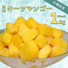 【ふるさと納税】冷凍マンゴー（キーツ）1kg（500g×2） 沖縄県産 カットマンゴー 国産