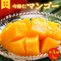 楽天市場】今帰仁マンゴーの通販