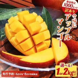 【ふるさと納税】 【訳あり・家庭用】【生産者応援】限定各500セット　今帰仁アップルマンゴー1kg以上 or 2kg以上 (白箱）【2026年6月中旬～8月中旬頃発送】