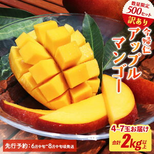 �y�ӂ邳�Ɣ[�Łz �y�󂠂�E�ƒ�p�z�y���Y�҉����z����e500�Z�b�g�@���A�m�A�b�v���}���S�[1kg�ȏ� or 2kg�ȏ� (�����j�y2026�N6�����{�`8�����{�������z