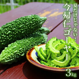 【ふるさと納税】今帰仁ゴーヤー3kg【10月～4月頃お届け】