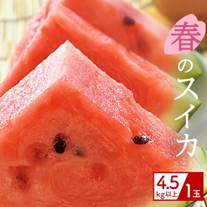 yӂ邳Ɣ[Łz yiLjAmzt̃XCJ@4.5kgy2026N3{`5z