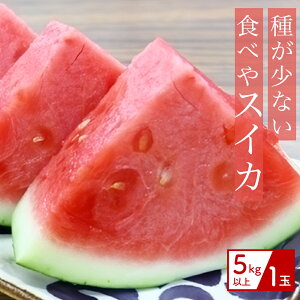 yӂ邳Ɣ[ŁzyiLjAmz킪ȂHׂXCJ@5kgy2026N3{`5z