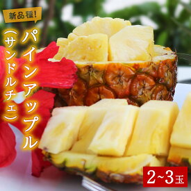 【ふるさと納税】 【2025年7月下旬～8月頃配送】今帰仁産 パインアップル（ サンドルチェ ）2～3玉