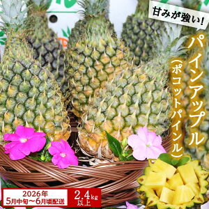 yӂ邳Ɣ[Łz ys\@2026N5{`6zzAmYpCAbvi|RbgpCj2.4kgȏ
