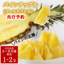 【ふるさと納税】 【2026年6～8月頃配送】今帰仁産パインアップル（ゴールドバレル）1.8kg以上　1～2玉　先行予約