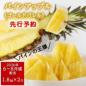 yӂ邳Ɣ[Łz y2026N6`8zzy70zAmYpCAbviS[hoj1.8kg×2ʁ@s\