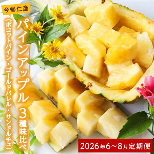 yӂ邳Ɣ[Łz yց@100ZbgzAmYpCAbv3햡׃Zbgy2026N6E7E8@3zzs\