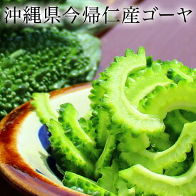 【ふるさと納税】今帰仁ゴーヤー3キロ