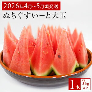 yӂ邳Ɣ[ŁzyJAȂzIIʂ[Ɓ@7kgȏy2026N4`5zs\