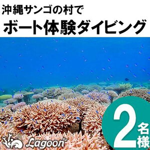 yӂ邳Ɣ[Łz`Pbg {[ǧ _CrOu1l`2lvTS̑y[O[z |  `Pbg _CrO ̌ ANeBreB ][g {[g TS ӂ邳Ɣ[ 