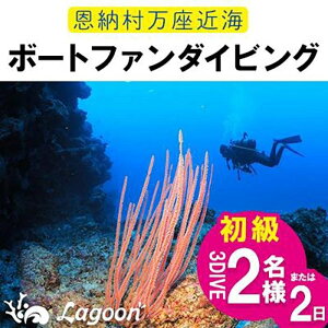 yӂ邳Ɣ[Łz`Pbg t@_CrObu2DIVE`3DIVEvoru3DIVEvߊCy[O[z |   `Pbg _CrO ̌ ANeBreB ][g ӂ邳Ɣ[ 