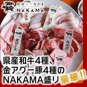 yӂ邳Ɣ[ŁzēNAKAMA@Ya4AAO[4NAKAMA@p