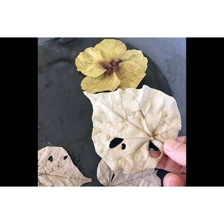 楽天市場】【ふるさと納税】つづるガラスアート ゆうなの花 －SUMI 