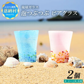 【ふるさと納税】＜琉球ガラス＞ 泡つぶつぶ ビアグラス 2種×各1個 セット（青系、オレンジ系）琉球ガラス 琉球グラス 琉球 グラス ビアグラス グラス ペア セット 食器 日用品 コップ 雑貨 お祝い お土産 プレゼント 贈り物 ギフト お酒 沖縄 恩納村